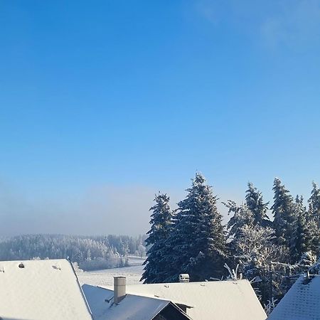 Reichmannsdorf Pension Thueringer Wald المظهر الخارجي الصورة
