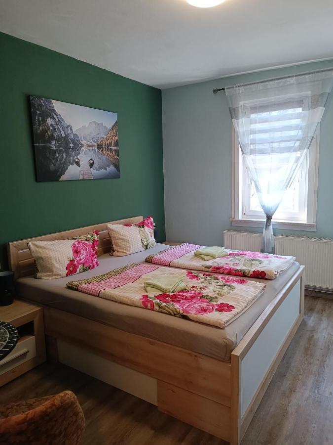 Reichmannsdorf Pension Thueringer Wald المظهر الخارجي الصورة