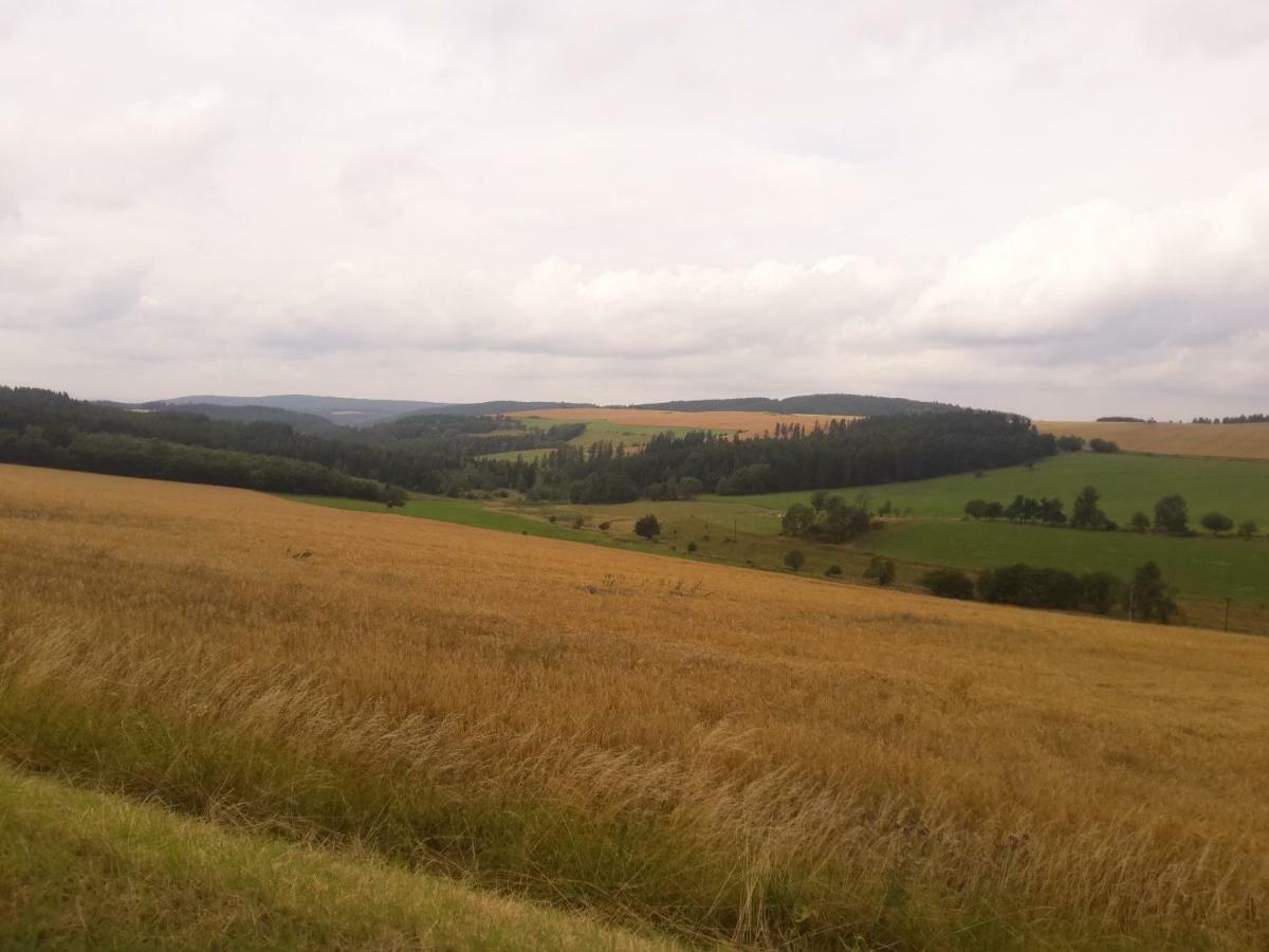 Reichmannsdorf Pension Thueringer Wald المظهر الخارجي الصورة